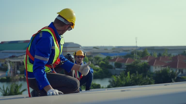 Best Asphalt Shingles Roofing  in Dryden, MI